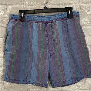 Newport Blue Striped Swim Shorts